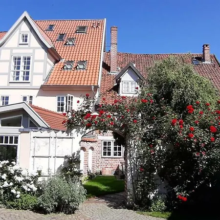 Meeresleuchten * Luneburgo