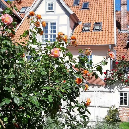 Meeresleuchten * Luneburgo